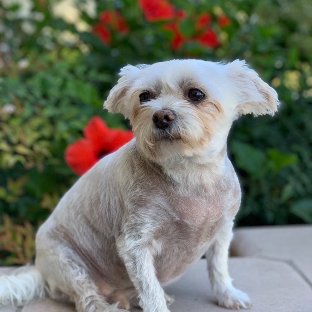 Meet Zeik